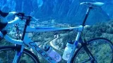 Training Tips